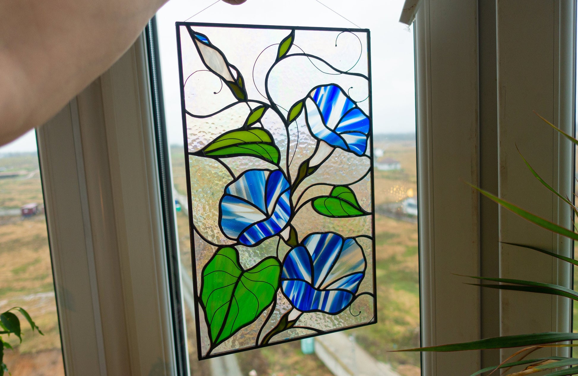 Morning glory panel hanging in window — 365×230mm, September birth flower cottagecore home decor