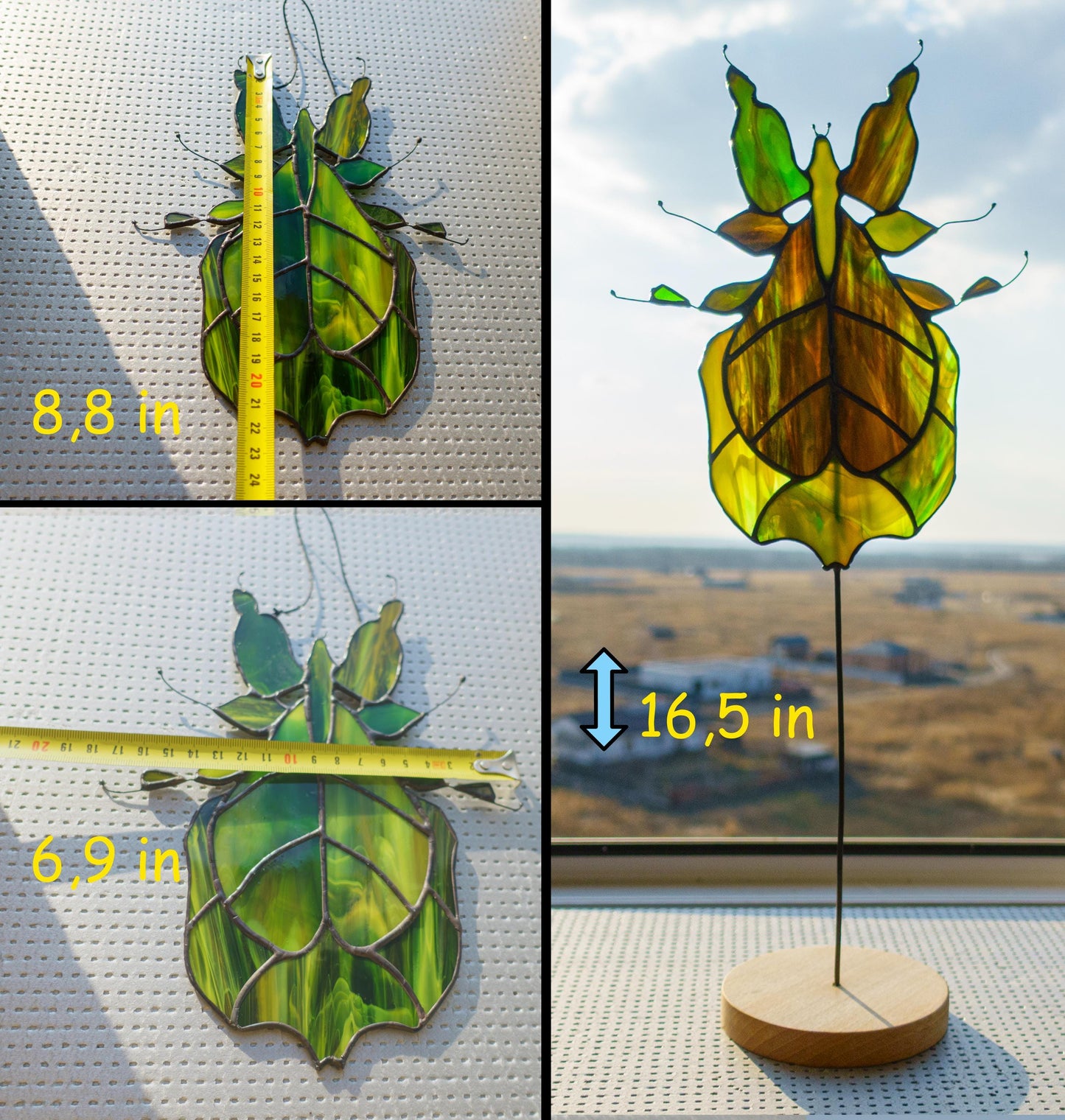Phylliidae leaf insect suncatcher in window — realistic nature light catcher, entomology decor gift