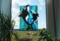 Stained Glass Panel — Orca and Baby Killer Whale, Ocean Window Hanging, Whale Lover Gift