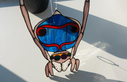 Peacock Spider Stained Glass Pattern — Jumping Spider DIY Suncatcher Template, svg psd Download