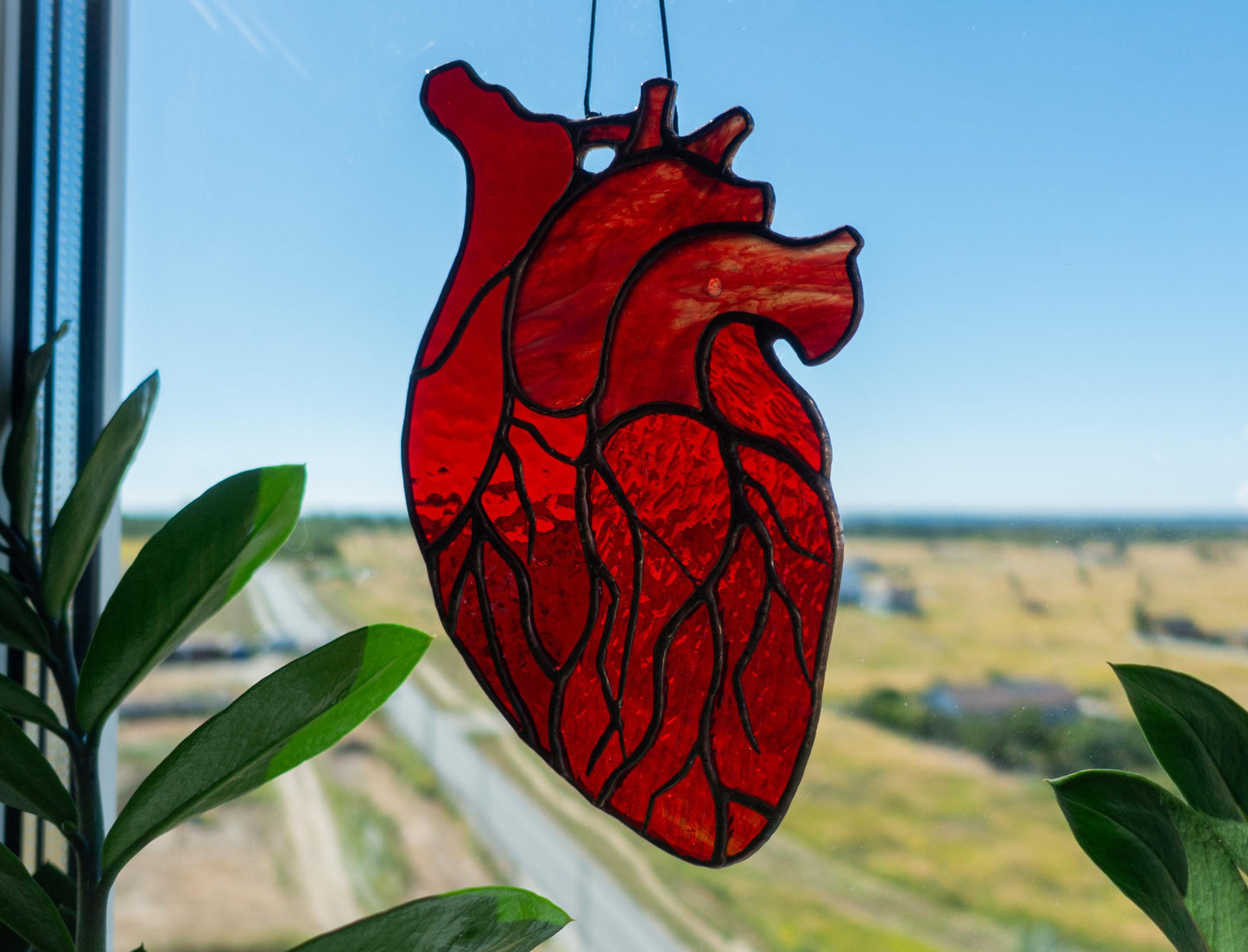 Anatomical Heart Stained Glass Suncatcher — Medical Student Gift, Gothic Valentine Window Art