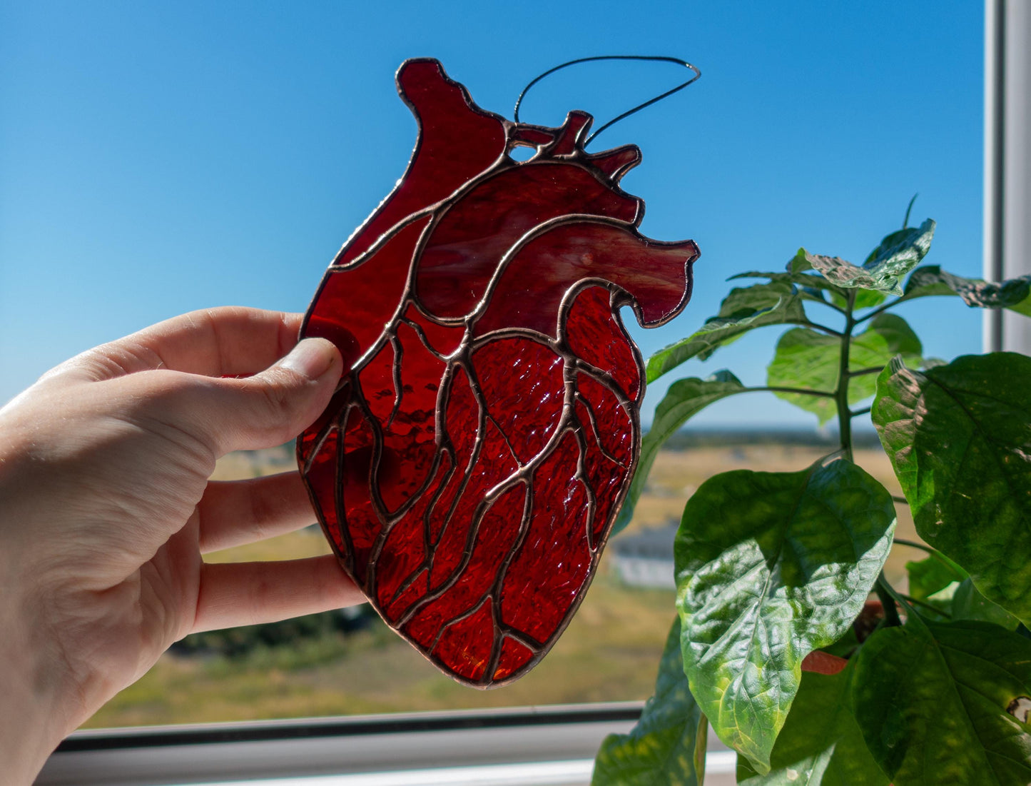 Anatomical Heart Stained Glass Suncatcher — Medical Student Gift, Gothic Valentine Window Art