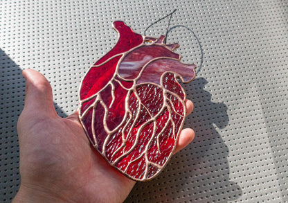 Anatomical Heart Stained Glass Pattern — Medical Science DIY Suncatcher Template, svg psd Download