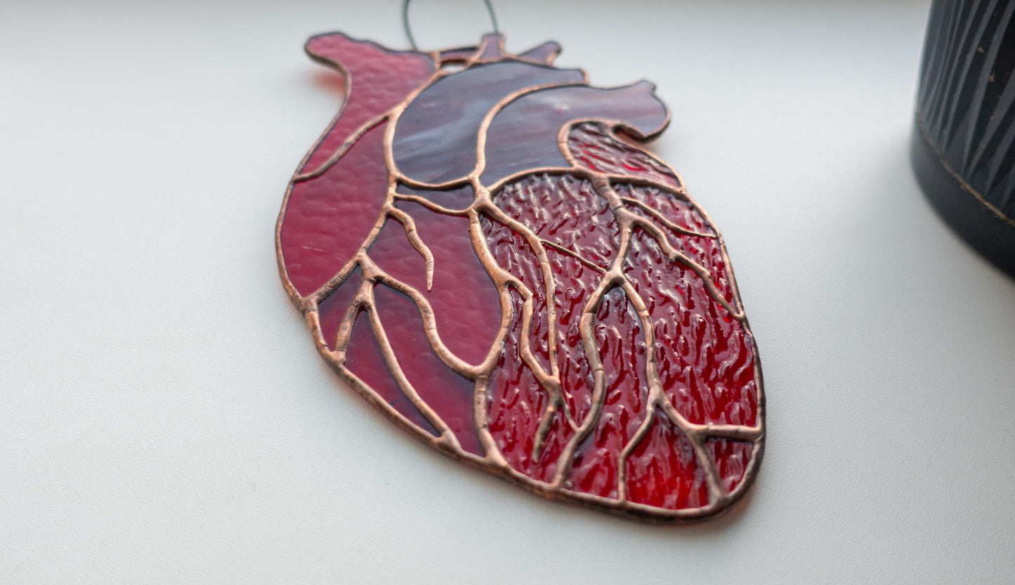 Anatomical Heart Stained Glass Pattern — Medical Science DIY Suncatcher Template, svg psd Download