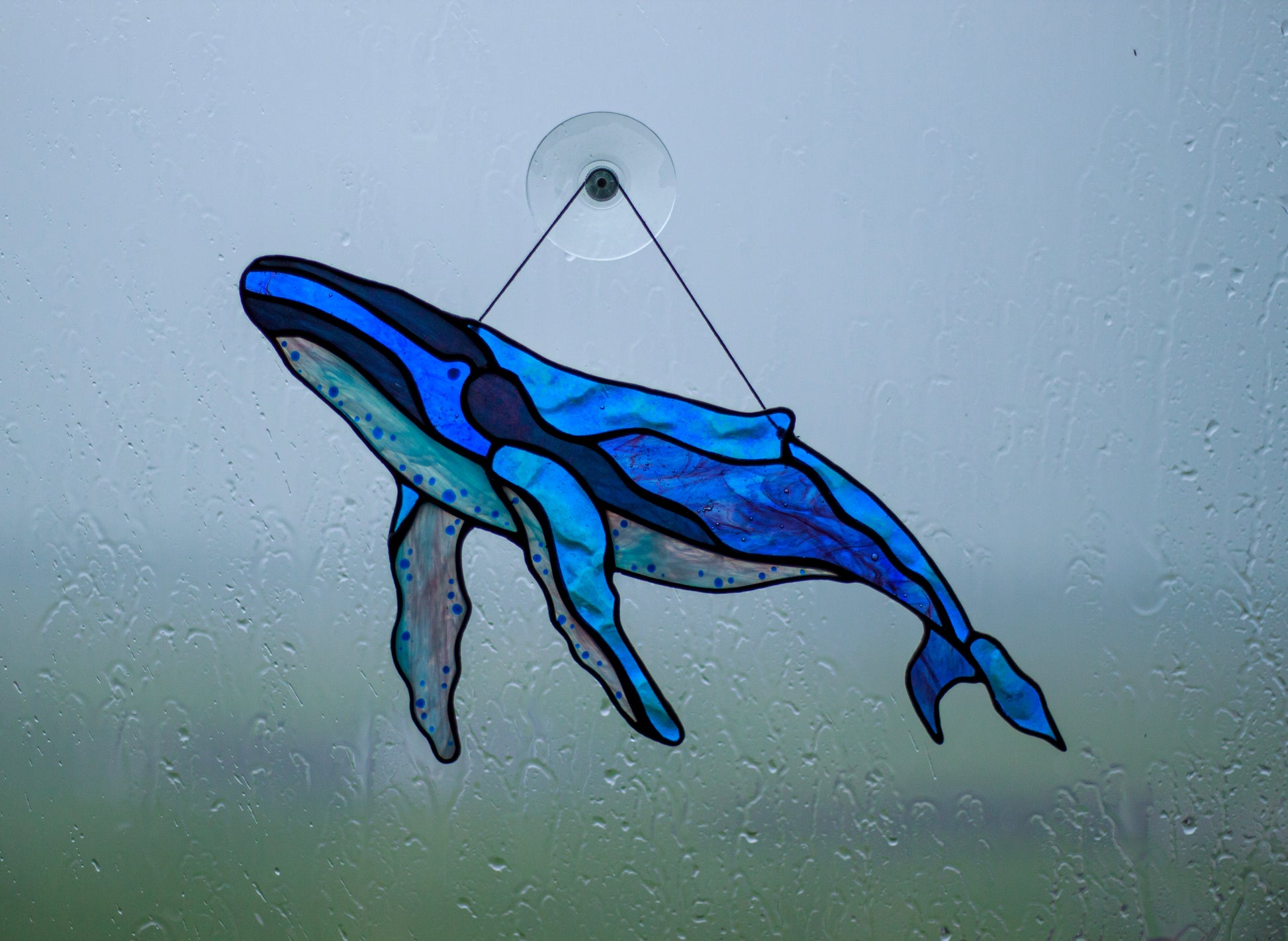 Stained glass humpback whale suncatcher in window — coastal beach house decor, handmade gift
